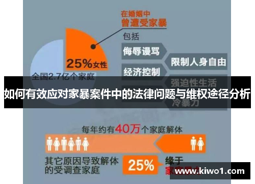 如何有效应对家暴案件中的法律问题与维权途径分析